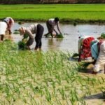 डेथ वारंट पर साइन किया भाजपा ने – पूर्व विधायक