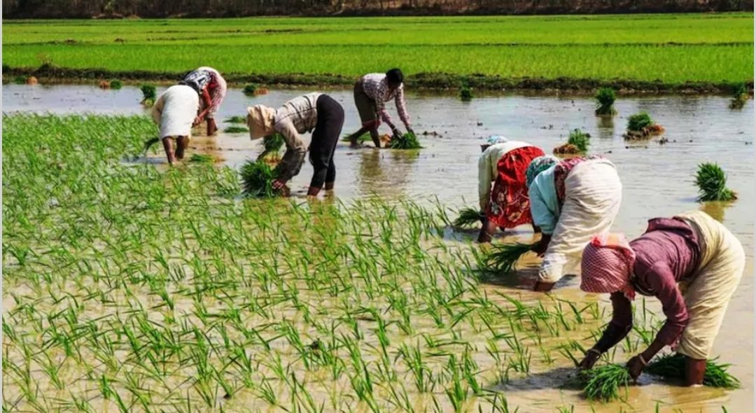 डेथ वारंट पर साइन किया भाजपा ने – पूर्व विधायक